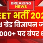 REET Bharti 2024