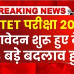 Ctet Notification 2024